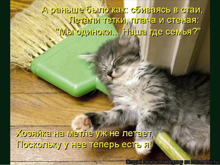 Хозяйка на метле уж не летает, Поскольку у нее теперь есть я! А раньше было как: сбиваясь в стаи, Л... Котоматрица: Хозяйка на метле уж не летает, Поскольку у нее теперь есть я! А раньше было как: сбиваясь в стаи, Летали тетки, плача и стеная: "Мы одиноки... Н