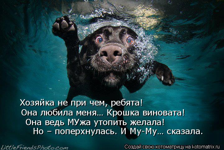 Хозяйка не при чем, ребята! Она любила меня… Крошка виновата! Она ведь МУжа утопить желала! Но – попе... Котоматрица: Хозяйка не при чем, ребята! Она любила меня… Крошка виновата! Она ведь МУжа утопить желала! Но – поперхнулась. И Му-Му… сказала.