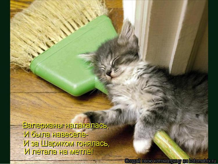 Валерианы налакалась, И была навеселе- И за Шариком гонялась, И летала на метле!... Котоматрица: Валерианы налакалась, И была навеселе- И за Шариком гонялась, И летала на метле!