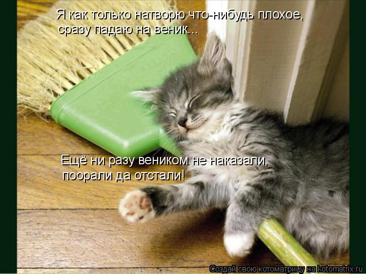 Я как только натворю что-нибудь плохое, сразу падаю на веник... Ещё ни разу веником не наказали, поо... Котоматрица: Я как только натворю что-нибудь плохое, сразу падаю на веник... Ещё ни разу веником не наказали, поорали да отстали!