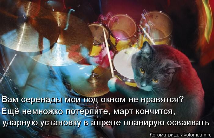 Вам серенады мои под окном не нравятся? Ещё немножко потерпите, март кончится, ударную установку в ап... Котоматрица: Вам серенады мои под окном не нравятся? Ещё немножко потерпите, март кончится, ударную установку в апреле планирую осваивать