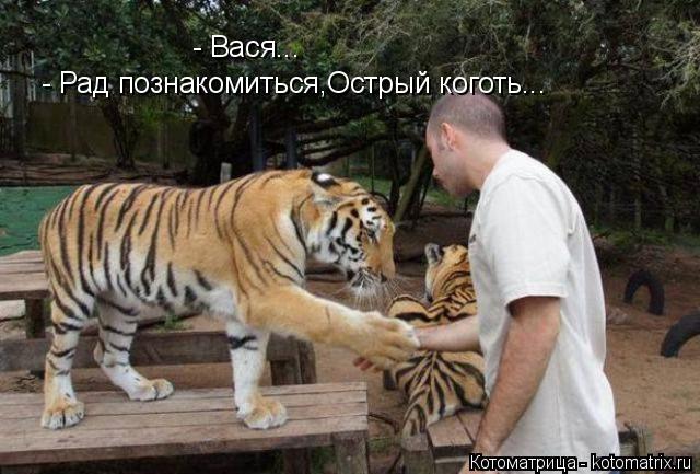 - Вася... - Рад познакомиться,Острый коготь...... Котоматрица: - Вася... - Рад познакомиться,Острый коготь...