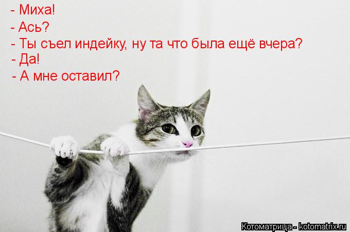 - Миха! - Ась? - Ты съел индейку, ну та что была ещё вчера? - Да! - А мне оставил?... Котоматрица: - Миха! - Ась? - Ты съел индейку, ну та что была ещё вчера? - Да! - А мне оставил?