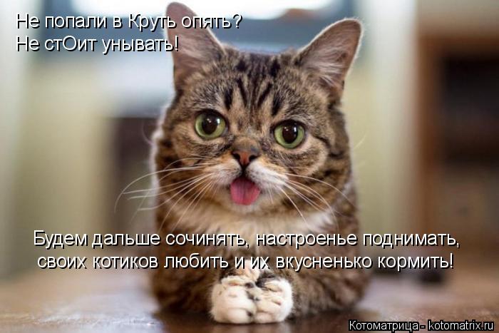 Не попали в Круть опять? Не стОит унывать! Будем дальше сочинять, настроенье поднимать, своих котиков... Котоматрица: Не попали в Круть опять? Не стОит унывать! Будем дальше сочинять, настроенье поднимать, своих котиков любить и их вкусненько кормить!