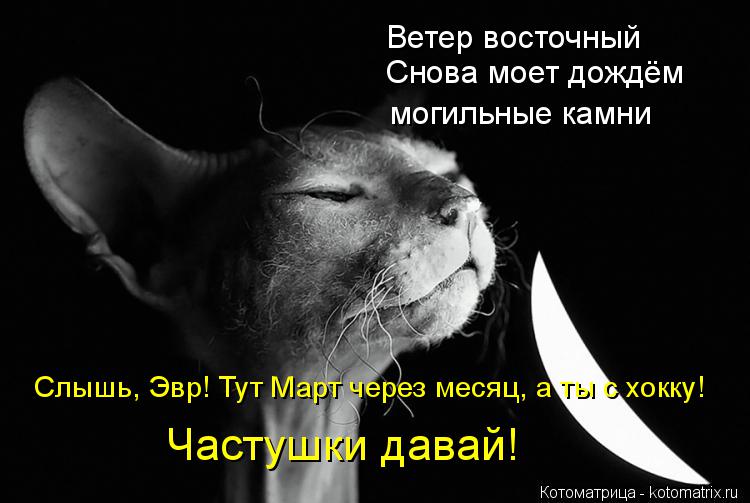 Ветер восточный Снова моет дождём могильные камни Слышь, Эвр! Тут Март через месяц, а ты с хокку! Час... Котоматрица: Ветер восточный Снова моет дождём могильные камни Слышь, Эвр! Тут Март через месяц, а ты с хокку! Частушки давай!