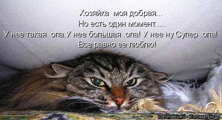 Но есть один момент..... Все равно ее люблю! Хозяйка моя добрая... У нее такая .опа.У нее большая .о... Котоматрица: Но есть один момент..... Все равно ее люблю! Хозяйка моя добрая... У нее такая .опа.У нее большая .опа! У нее ну Супер .опа!