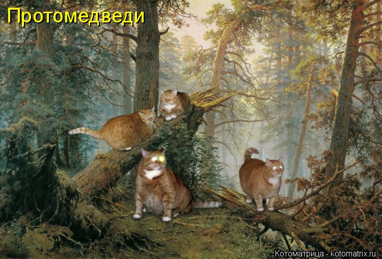 Протомедведи... Котоматрица: Протомедведи