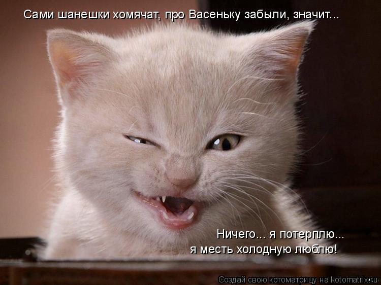 Сами шанешки хомячат, про Васеньку забыли, значит... Ничего... я потерплю... я месть холодную люблю!... Котоматрица: Сами шанешки хомячат, про Васеньку забыли, значит... Ничего... я потерплю... я месть холодную люблю!