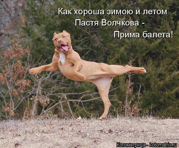 Как хороша зимою и летом Пастя Волчкова - Прима балета!... Котоматрица: Как хороша зимою и летом Пастя Волчкова - Прима балета!
