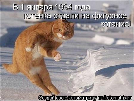 В 1 января 1994 года котёнка отдали на фигурное котание!... Котоматрица: В 1 января 1994 года котёнка отдали на фигурное котание!