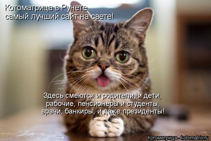 Котоматрица в Рунете самый лучший сайт на свете! Здесь смеются и родители, и дети, рабочие, пенсионер... Котоматрица: Котоматрица в Рунете самый лучший сайт на свете! Здесь смеются и родители, и дети, рабочие, пенсионеры и студенты, врачи, банкиры, и даже през