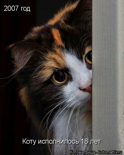 2007 год Коту исполнилось 18 лет... Котоматрица: 2007 год Коту исполнилось 18 лет