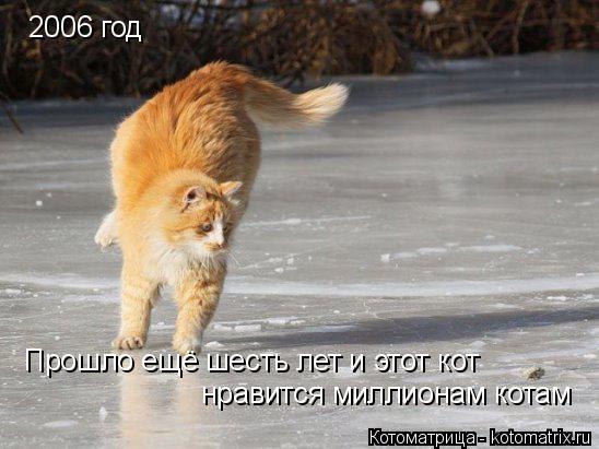 2006 год Прошло ещё шесть лет и этот кот нравится миллионам котам... Котоматрица: 2006 год Прошло ещё шесть лет и этот кот нравится миллионам котам