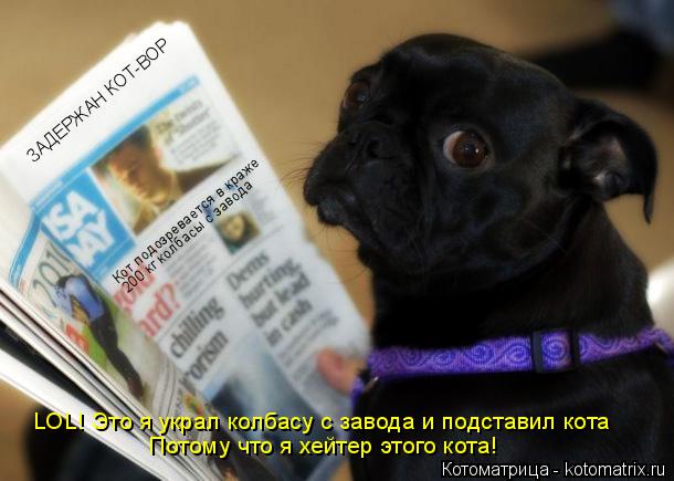 ЗАДЕРЖАН КОТ-ВОР Кот подозревается в краже 200 кг колбасы с завода LOL! Это я украл колбасу с завода ... Котоматрица: ЗАДЕРЖАН КОТ-ВОР Кот подозревается в краже 200 кг колбасы с завода LOL! Это я украл колбасу с завода и подставил кота Потому что я хейтер этого