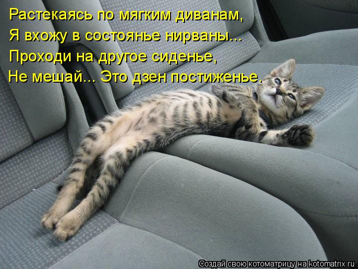 Растекаясь по мягким диванам, Я вхожу в состоянье нирваны... Проходи на другое сиденье, Не мешай... Э... Котоматрица: Растекаясь по мягким диванам, Я вхожу в состоянье нирваны... Проходи на другое сиденье, Не мешай... Это дзен постиженье.
