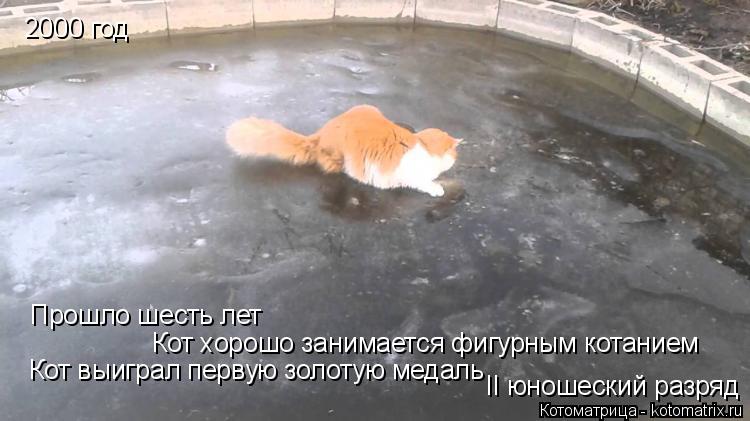 2000 год Прошло шесть лет Кот хорошо занимается фигурным котанием Кот выиграл первую золотую медаль I... Котоматрица: 2000 год Прошло шесть лет Кот хорошо занимается фигурным котанием Кот выиграл первую золотую медаль II юношеский разряд