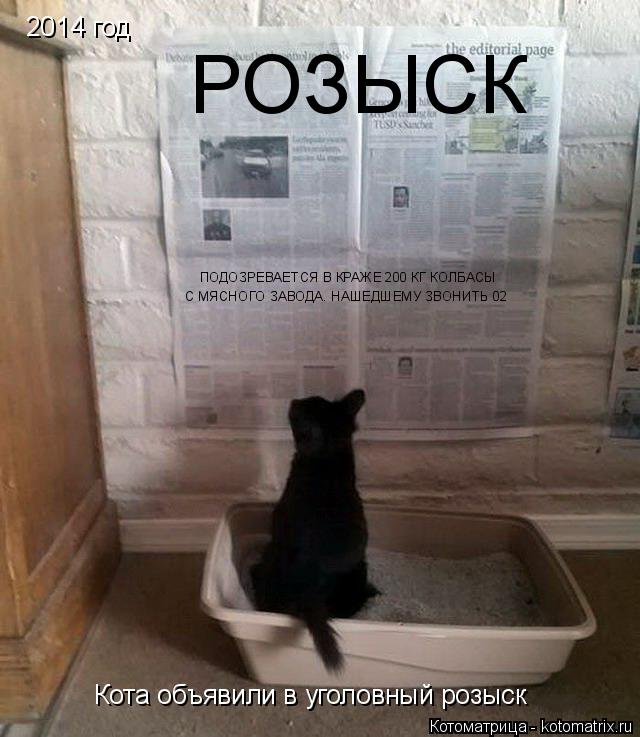 2014 год Кота объявили в уголовный розыск РОЗЫСК ПОДОЗРЕВАЕТСЯ В КРАЖЕ 200 КГ КОЛБАСЫ С МЯСНОГО ЗАВОД... Котоматрица: 2014 год Кота объявили в уголовный розыск РОЗЫСК ПОДОЗРЕВАЕТСЯ В КРАЖЕ 200 КГ КОЛБАСЫ С МЯСНОГО ЗАВОДА. НАШЕДШЕМУ ЗВОНИТЬ 02