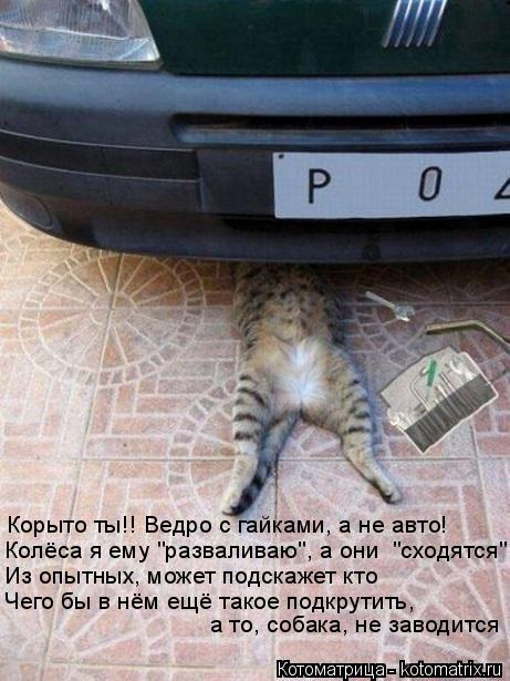 Корыто ты!! Ведро с гайками, а не авто! Колёса я ему "разваливаю", а они "сходятся" Из опытных, може... Котоматрица: Корыто ты!! Ведро с гайками, а не авто! Колёса я ему "разваливаю", а они "сходятся" Из опытных, может подскажет кто Чего бы в нём ещё такое подкр