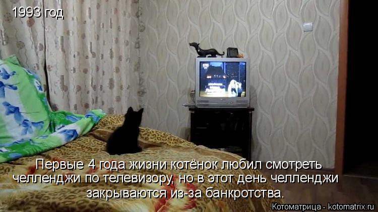 1993 год Первые 4 года жизни котёнок любил смотреть челленджи по телевизору, но в этот день челленджи... Котоматрица: 1993 год Первые 4 года жизни котёнок любил смотреть челленджи по телевизору, но в этот день челленджи закрываются из-за банкротства.