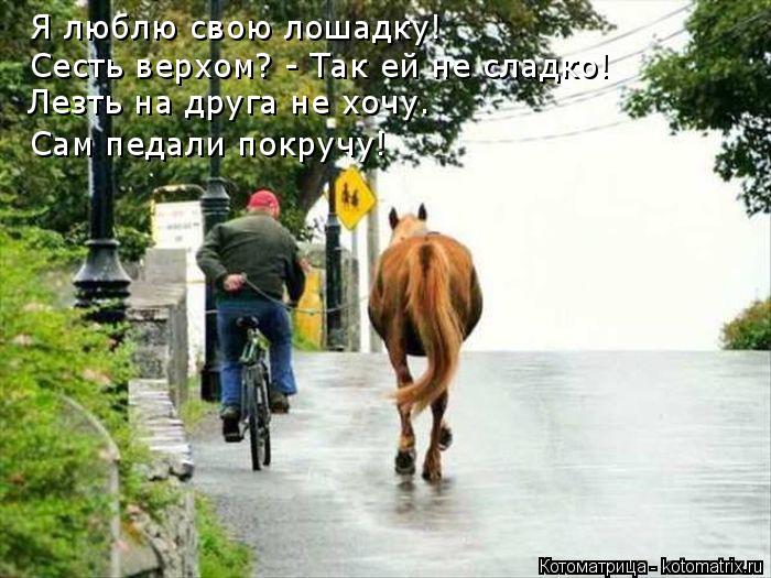 Я люблю свою лошадку! Сесть верхом? - Так ей не сладко! Лезть на друга не хочу. Сам педали покручу!... Котоматрица: Я люблю свою лошадку! Сесть верхом? - Так ей не сладко! Лезть на друга не хочу. Сам педали покручу!