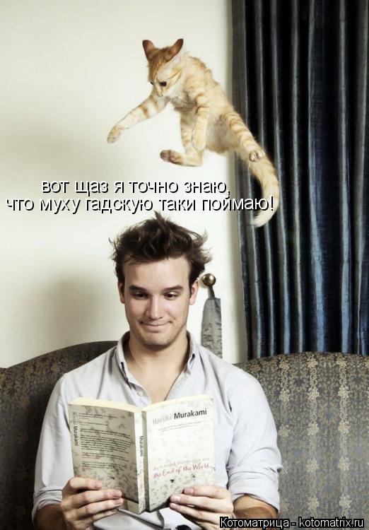 вот щаз я точно знаю, что муху гадскую таки поймаю!... Котоматрица: вот щаз я точно знаю, что муху гадскую таки поймаю!