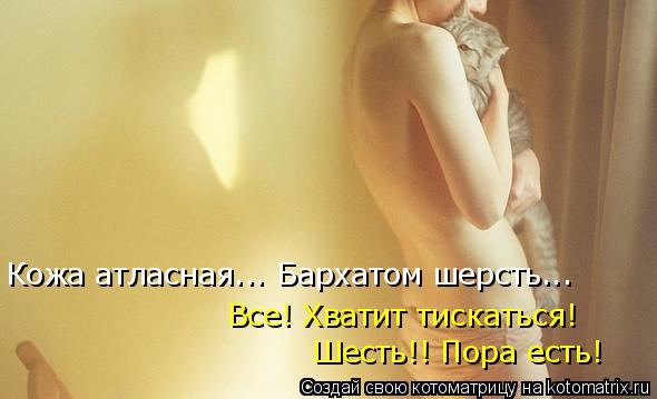Кожа атласная... Бархатом шерсть... Все! Хватит тискаться! Шесть!! Пора есть!... Котоматрица: Кожа атласная... Бархатом шерсть... Все! Хватит тискаться! Шесть!! Пора есть!
