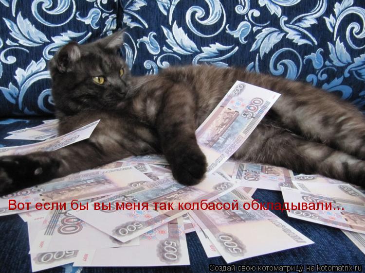 Вот если бы вы меня так колбасой обкладывали...... Котоматрица: Вот если бы вы меня так колбасой обкладывали...