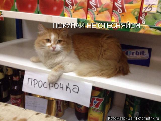 ПОКУПАЙ НЕ СТЕСНЯЙСЯ... Котоматрица: ПОКУПАЙ НЕ СТЕСНЯЙСЯ