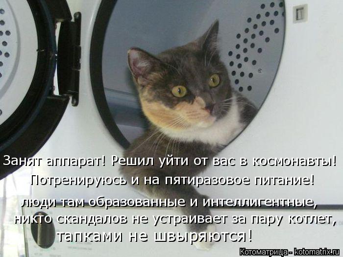Котоматрица: Занят аппарат! Решил уйти от вас в космонавты!  Потренируюсь и на пятиразовое питание! люди там образованные и интеллигентные,   никто сканд