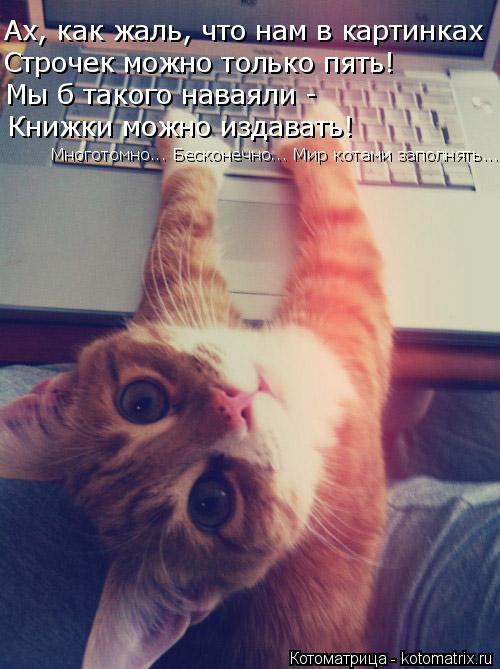 Ах, как жаль, что нам в картинках Строчек можно только пять! Мы б такого наваяли - Книжки можно издав... Котоматрица: Ах, как жаль, что нам в картинках Строчек можно только пять! Мы б такого наваяли - Книжки можно издавать! Многотомно... Бесконечно... Мир котами