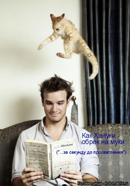 Как Хануки обрек на муки ("...за секунду до просветления")... Котоматрица: Как Хануки обрек на муки ("...за секунду до просветления")