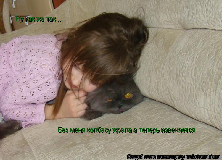 Ну как же так ... Без меня колбасу жрала а теперь извеняется... Котоматрица: Ну как же так ... Без меня колбасу жрала а теперь извеняется