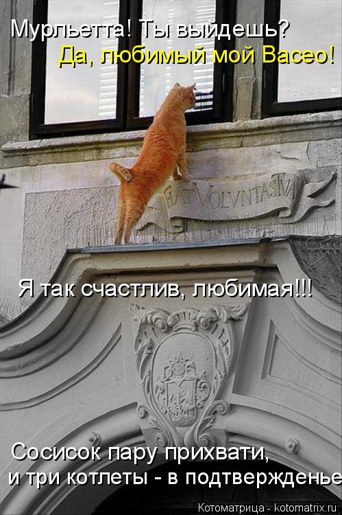 Мурльетта! Ты выйдешь? Сосисок пару прихвати, и три котлеты - в подтвержденье. Да, любимый мой Васе... Котоматрица: Мурльетта! Ты выйдешь? Сосисок пару прихвати, и три котлеты - в подтвержденье. Да, любимый мой Васео! Я так счастлив, любимая!!!