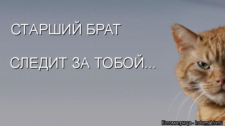 СТАРШИЙ БРАТ СЛЕДИТ ЗА ТОБОЙ...... Котоматрица: СТАРШИЙ БРАТ СЛЕДИТ ЗА ТОБОЙ...