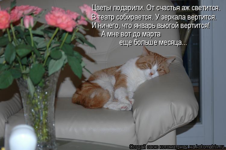 Цветы подарили. От счастья аж светится. В театр собирается. У зеркала вертится. И ничего, что январь ... Котоматрица: Цветы подарили. От счастья аж светится. В театр собирается. У зеркала вертится. И ничего, что январь вьюгой вертится! А мне вот до марта еще б