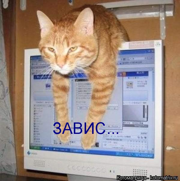 ЗАВИС...... Котоматрица: ЗАВИС...