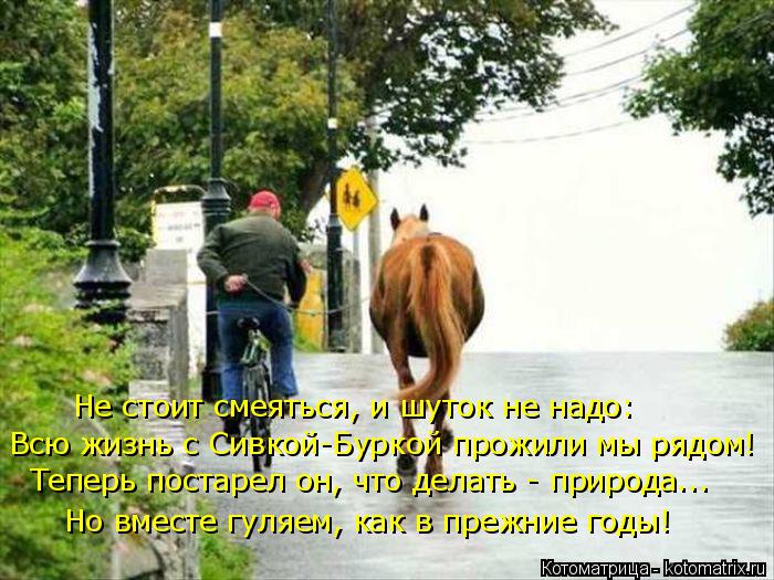 Не стоит смеяться, и шуток не надо: Всю жизнь с Сивкой-Буркой прожили мы рядом! Теперь постарел он, ч... Котоматрица: Не стоит смеяться, и шуток не надо: Всю жизнь с Сивкой-Буркой прожили мы рядом! Теперь постарел он, что делать - природа... Но вместе гуляем, ка