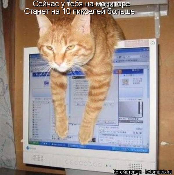 Сейчас у тебя на мониторе Станет на 10 пикселей больше... Котоматрица: Сейчас у тебя на мониторе Станет на 10 пикселей больше