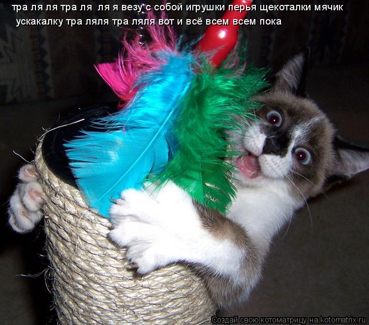 тра ля ля тра ля ля я везу с собой игрушки перья щекоталки мячик ускакалку тра ляля тра ляля вот и в... Котоматрица: тра ля ля тра ля ля я везу с собой игрушки перья щекоталки мячик ускакалку тра ляля тра ляля вот и всё всем всем пока