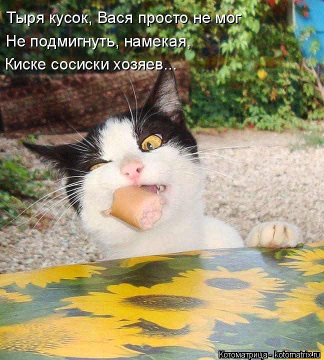 Не подмигнуть, намекая, Киске сосиски хозяев... Тыря кусок, Вася просто не мог... Котоматрица: Не подмигнуть, намекая, Киске сосиски хозяев... Тыря кусок, Вася просто не мог