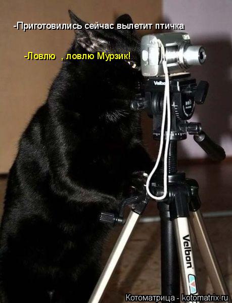 -Приготовились сейчас вылетит птичка -Ловлю , ловлю Мурзик!... Котоматрица: -Приготовились сейчас вылетит птичка -Ловлю , ловлю Мурзик!