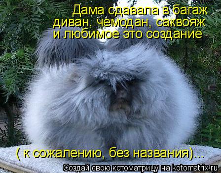Дама сдавала в багаж диван, чемодан, саквояж и любимое это создание ( к сожалению, без названия)...... Котоматрица: Дама сдавала в багаж диван, чемодан, саквояж и любимое это создание ( к сожалению, без названия)...