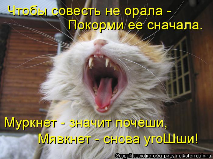 Чтобы совесть не орала - Муркнет - значит почеши, Мявкнет - снова угоШши! Покорми ее сначала.... Котоматрица: Чтобы совесть не орала - Муркнет - значит почеши, Мявкнет - снова угоШши! Покорми ее сначала.