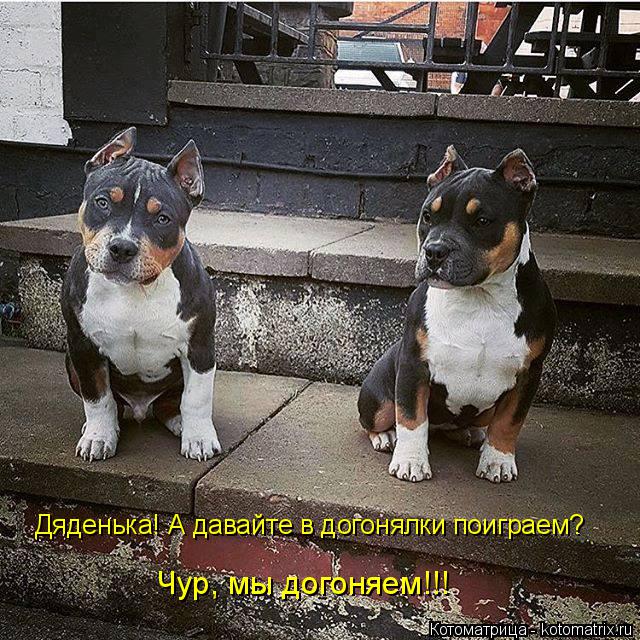 Дяденька! А давайте в догонялки поиграем? Чур, мы догоняем!!!... Котоматрица: Дяденька! А давайте в догонялки поиграем? Чур, мы догоняем!!!