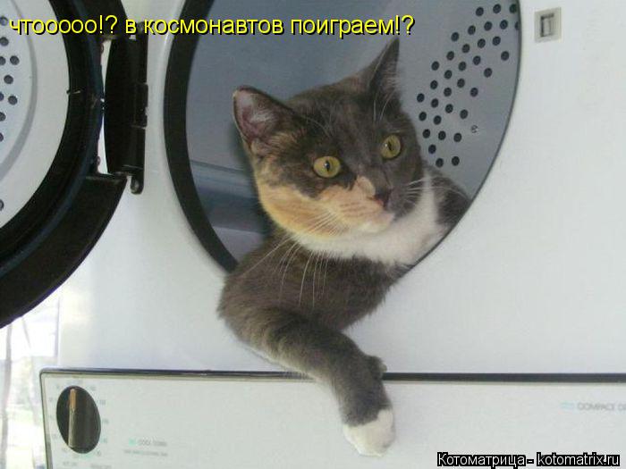 чтооооо!? в космонавтов поиграем!?... Котоматрица: чтооооо!? в космонавтов поиграем!?