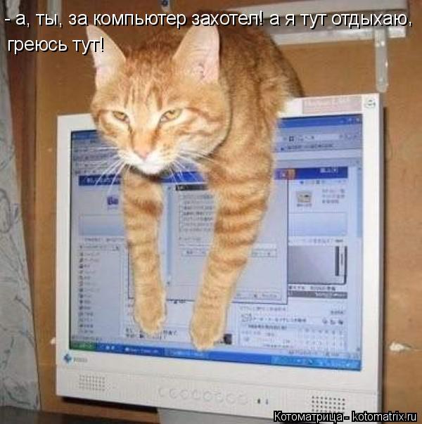 - а, ты, за компьютер захотел! а я тут отдыхаю - а, ты, за компьютер захотел! а я тут отдыхаю , греюс... Котоматрица: - а, ты, за компьютер захотел! а я тут отдыхаю - а, ты, за компьютер захотел! а я тут отдыхаю , греюсь тут!
