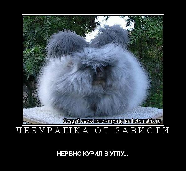 ЧЕБУРАШКА ОТ ЗАВИСТИ НЕРВНО КУРИЛ В УГЛУ...... Котоматрица: ЧЕБУРАШКА ОТ ЗАВИСТИ НЕРВНО КУРИЛ В УГЛУ...