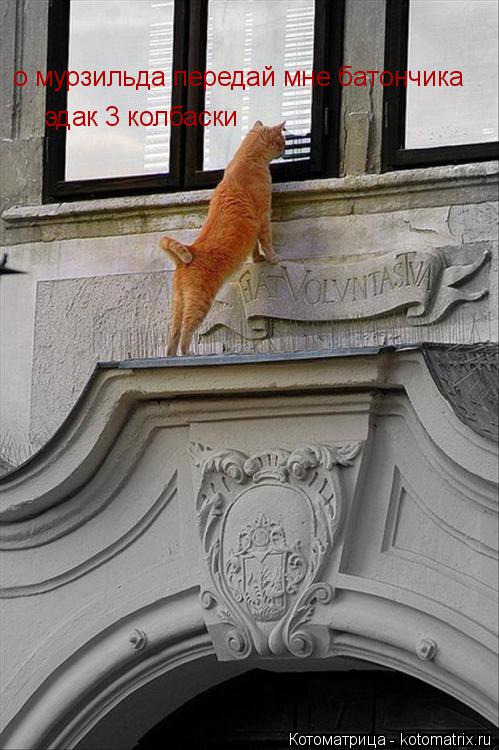 о мурзильда передай мне батончика эдак 3 колбаски... Котоматрица: о мурзильда передай мне батончика эдак 3 колбаски