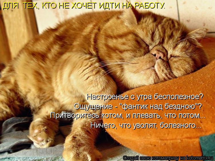 ДЛЯ ТЕХ, КТО НЕ ХОЧЕТ ИДТИ НА РАБОТУ. Настроенье с утра бесполезное? Ощущение - "фантик над бездною"... Котоматрица: ДЛЯ ТЕХ, КТО НЕ ХОЧЕТ ИДТИ НА РАБОТУ. Настроенье с утра бесполезное? Ощущение - "фантик над бездною"? Притворитесь котом, и плевать, что потом.