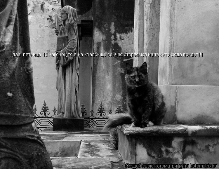 даа! пятница 13 наконец то я на кладбище сейчас оторвемся на тех кто сюда придет!!!... Котоматрица: даа! пятница 13 наконец то я на кладбище сейчас оторвемся на тех кто сюда придет!!!